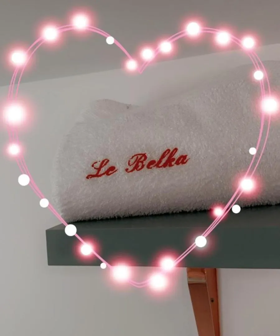 Love Room Le Belka Rive-de-Gier 0*,